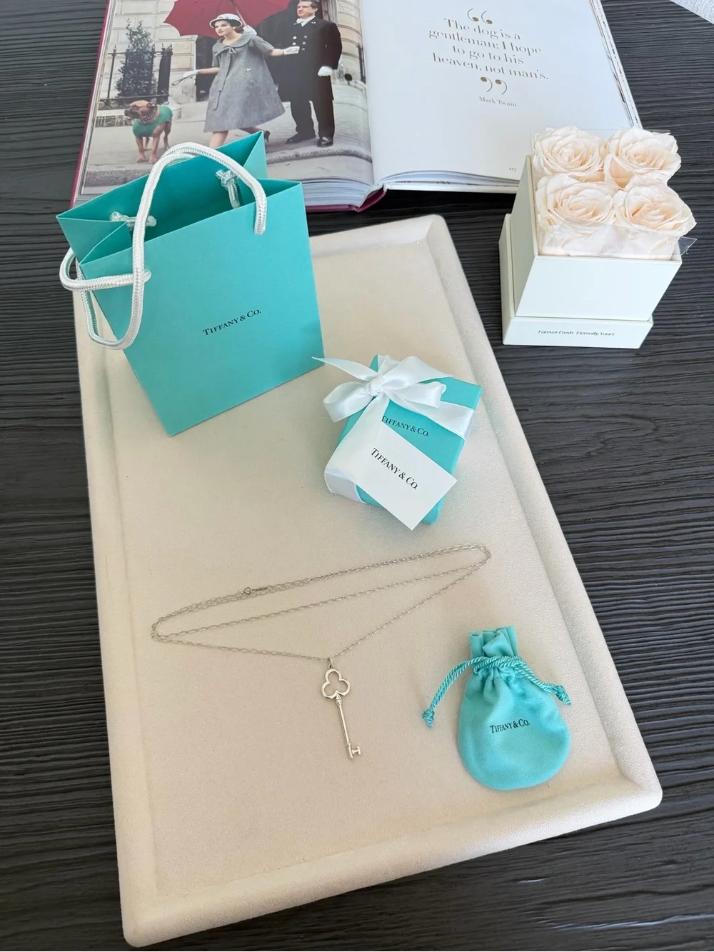 Tiffany & Co. Large Key Necklace Sterling Silver 36”  $700